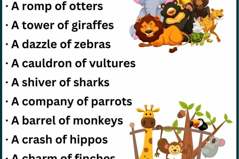 100 List Of Collective Nouns For Animals
