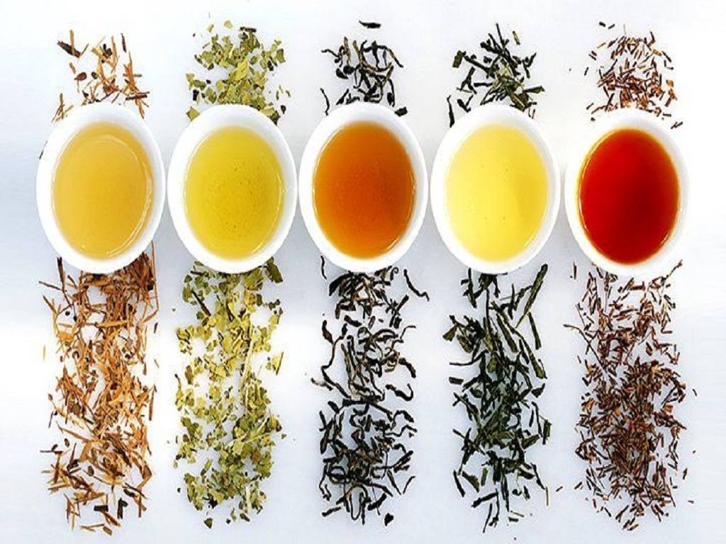 is the teas test multiple choice