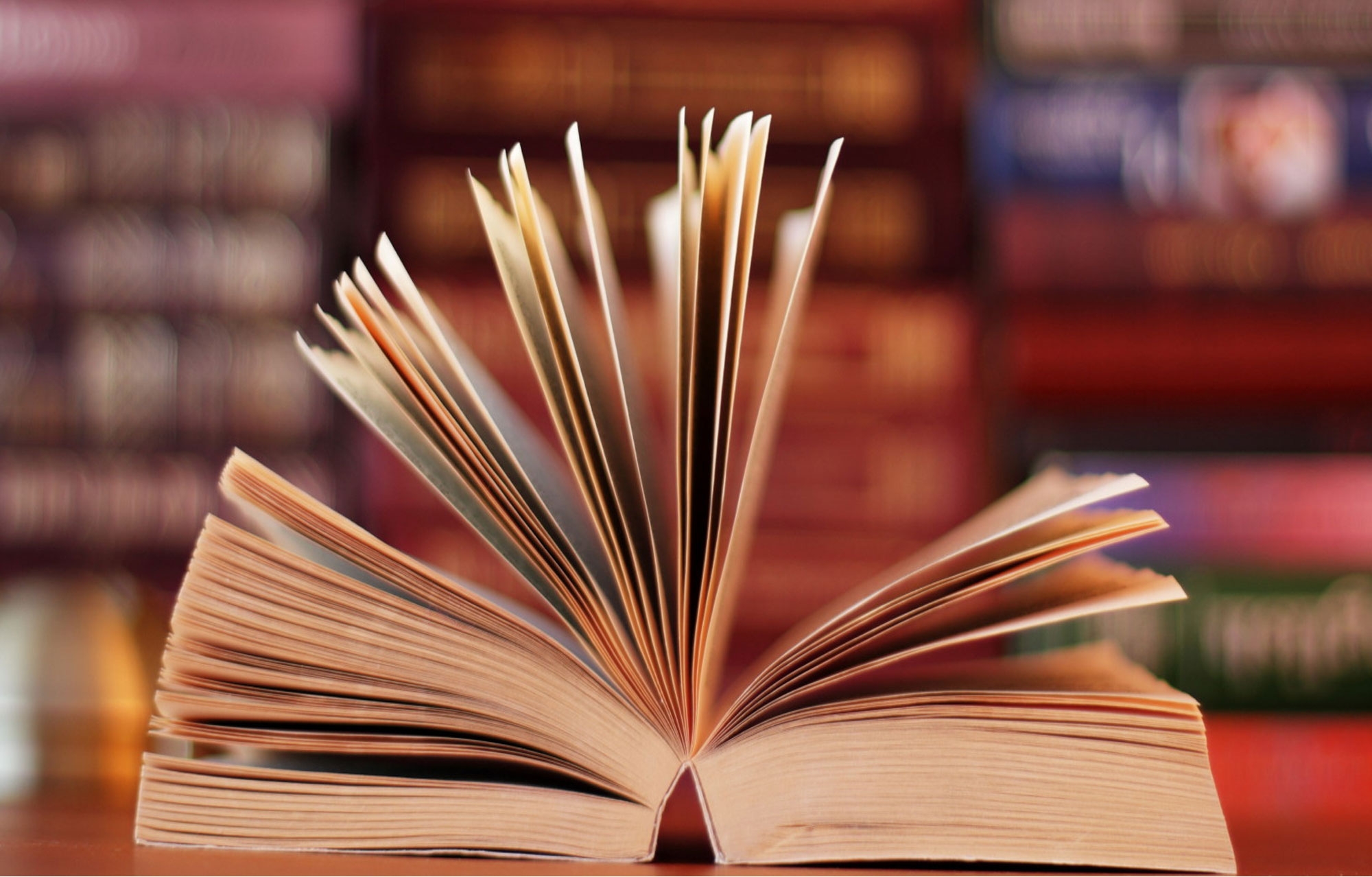 13 Books To Read For Creative Inspiration Dan Norris