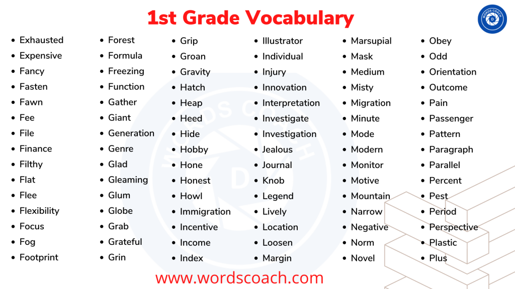 1st Grade Vocabulary