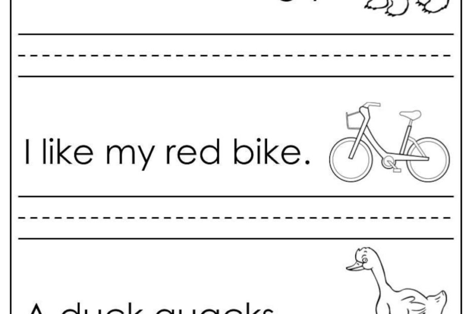 20 Printable Sentence Writing Worksheets Simple Etsy