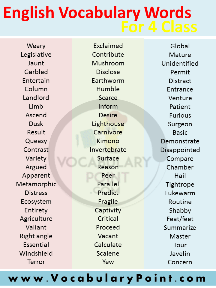 3rd grade level vocabulary words