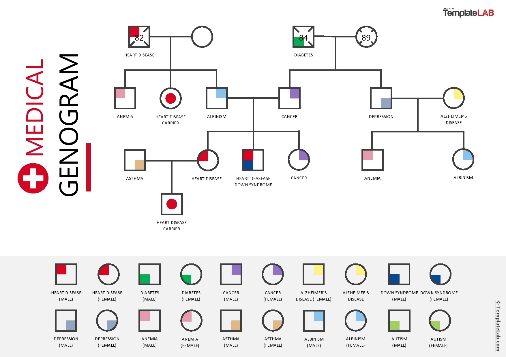 28 Free Genogram Templates Symbols Word PowerPoint PDF 