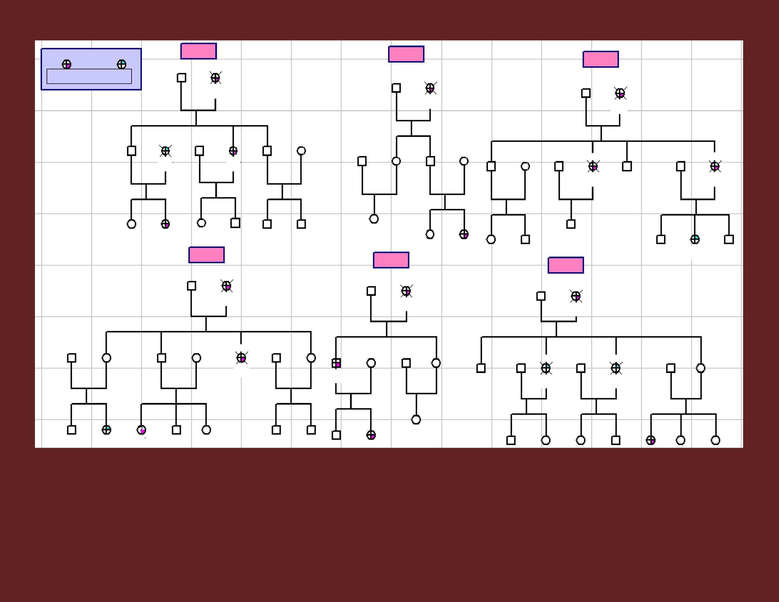 30 Free Genogram Templates Symbols TemplateLab