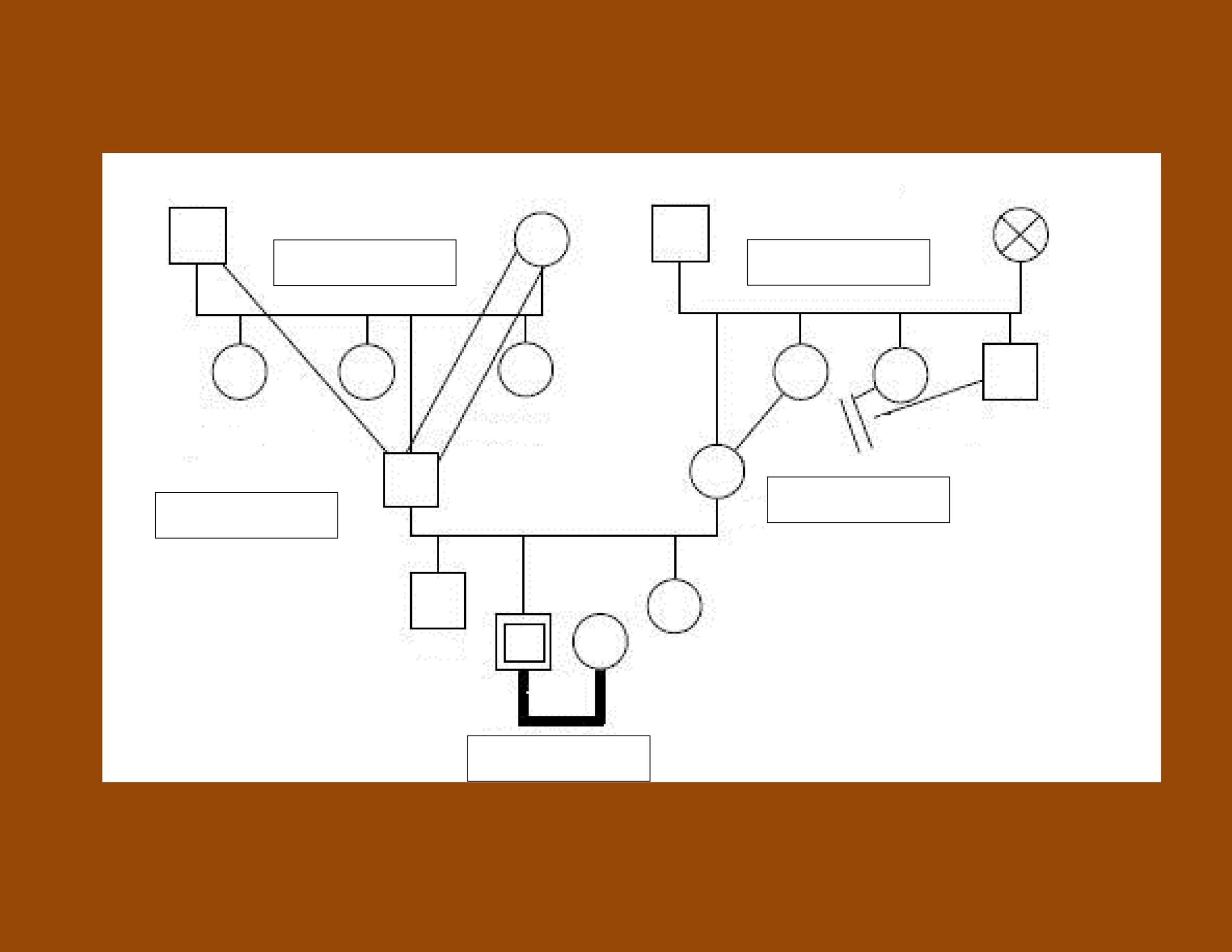 30 Free Genogram Templates Symbols TemplateLab