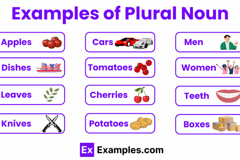 30 Plural Noun Examples