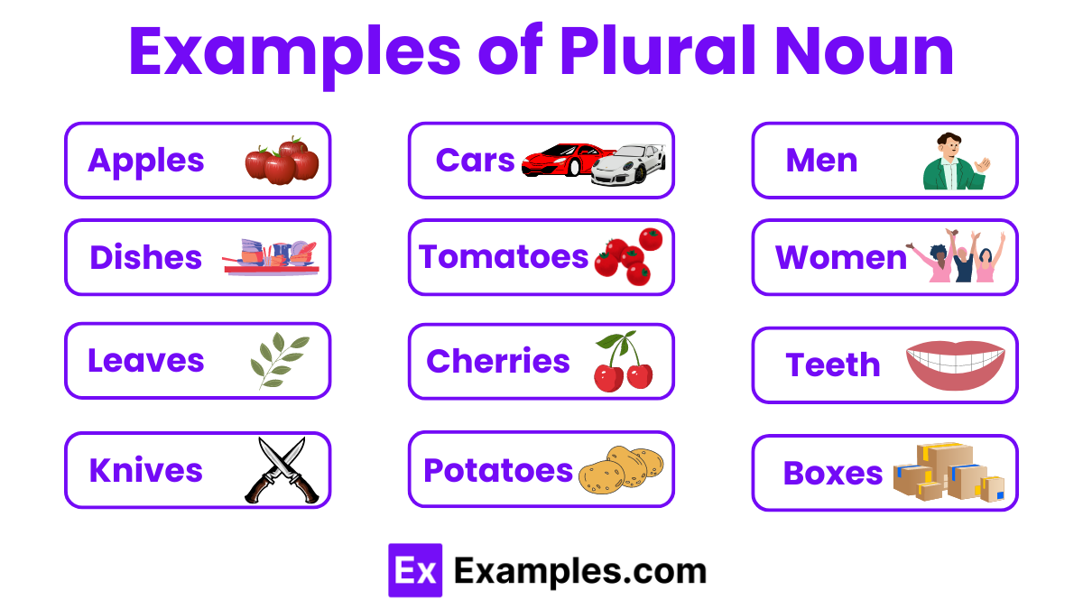30 Plural Noun Examples