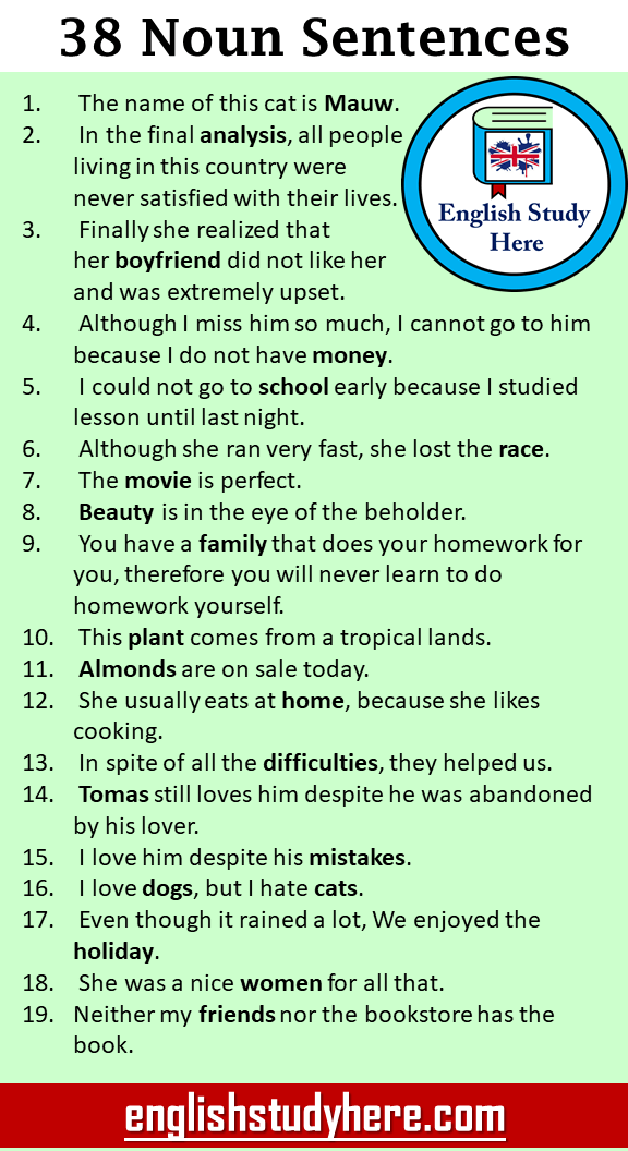 noun examples sentences
