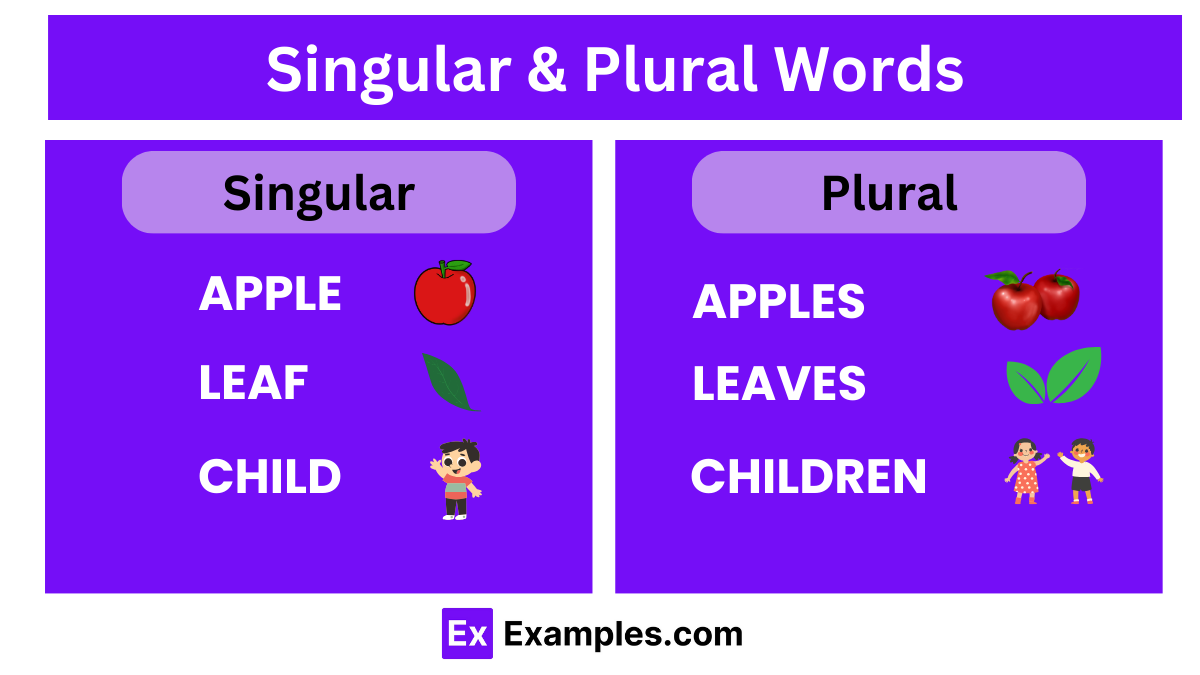 450 Singular Plural Words Meaningss Rules PDF