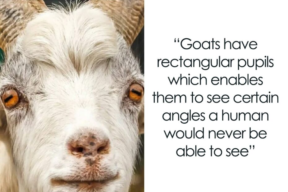 50 Interesting Facts About The World You Probably Didn t Learn At