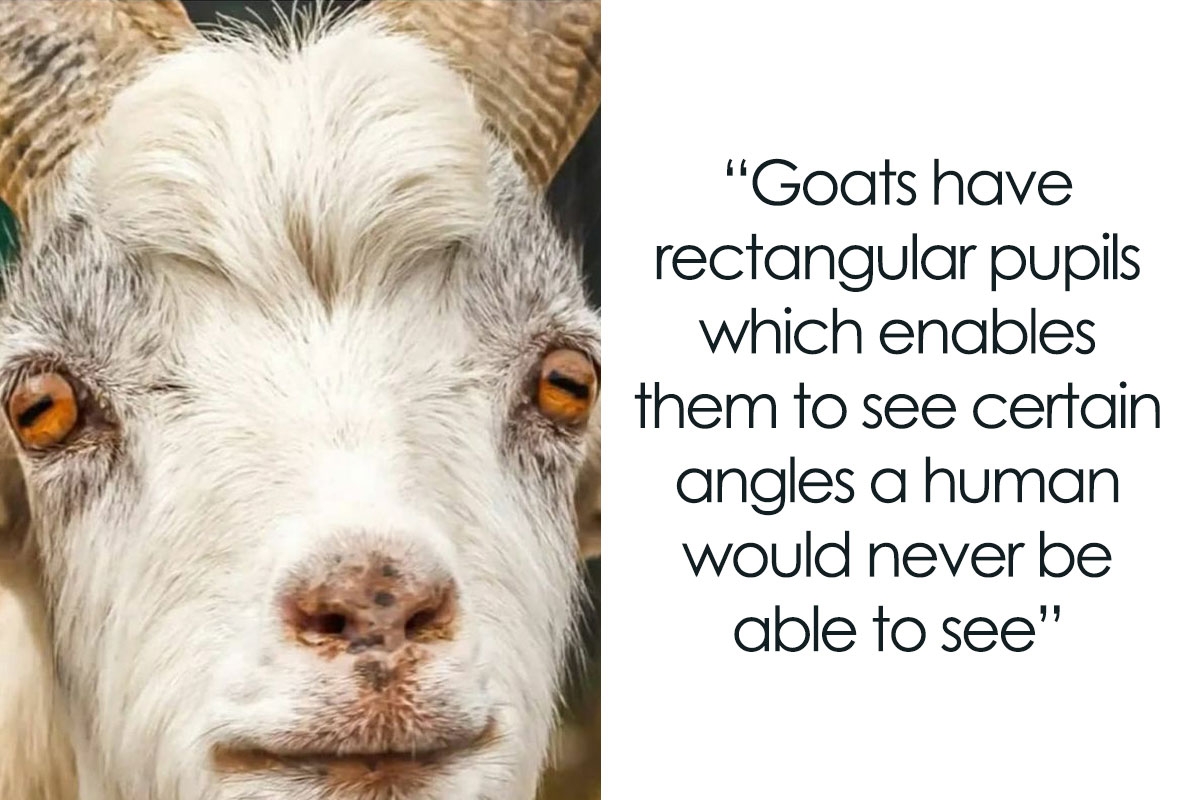 50 Interesting Facts About The World You Probably Didn t Learn At 