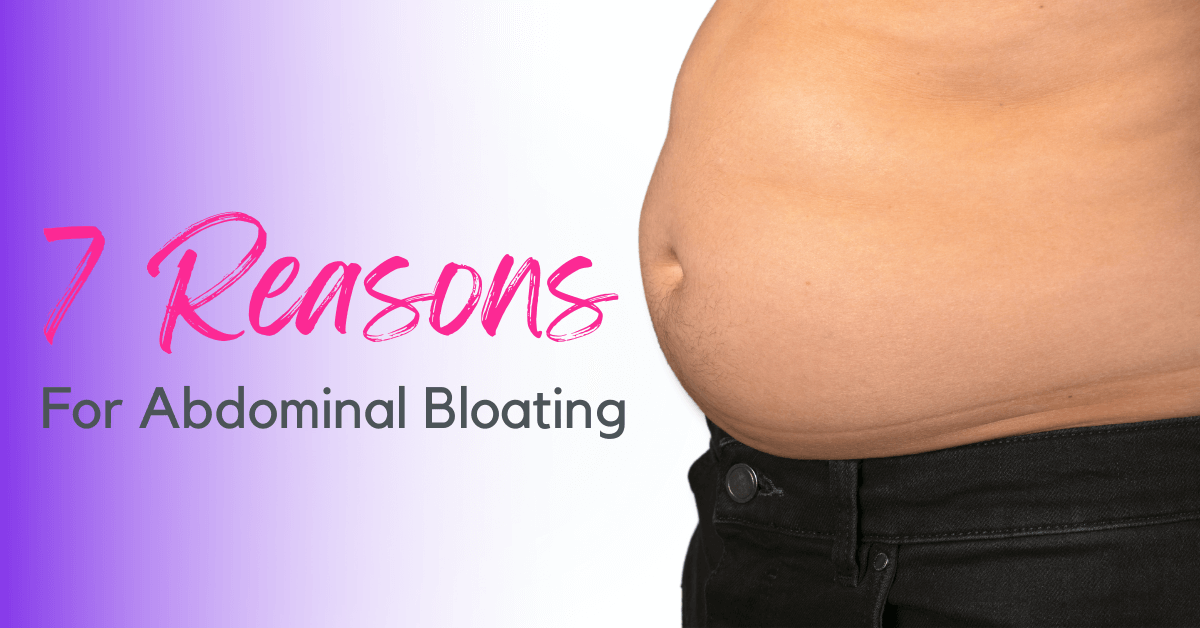 a bloat of hippopotamuses