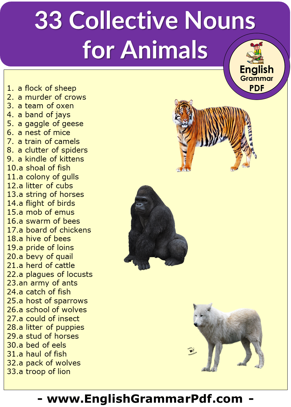 A Collective Noun For Animals Propfopt