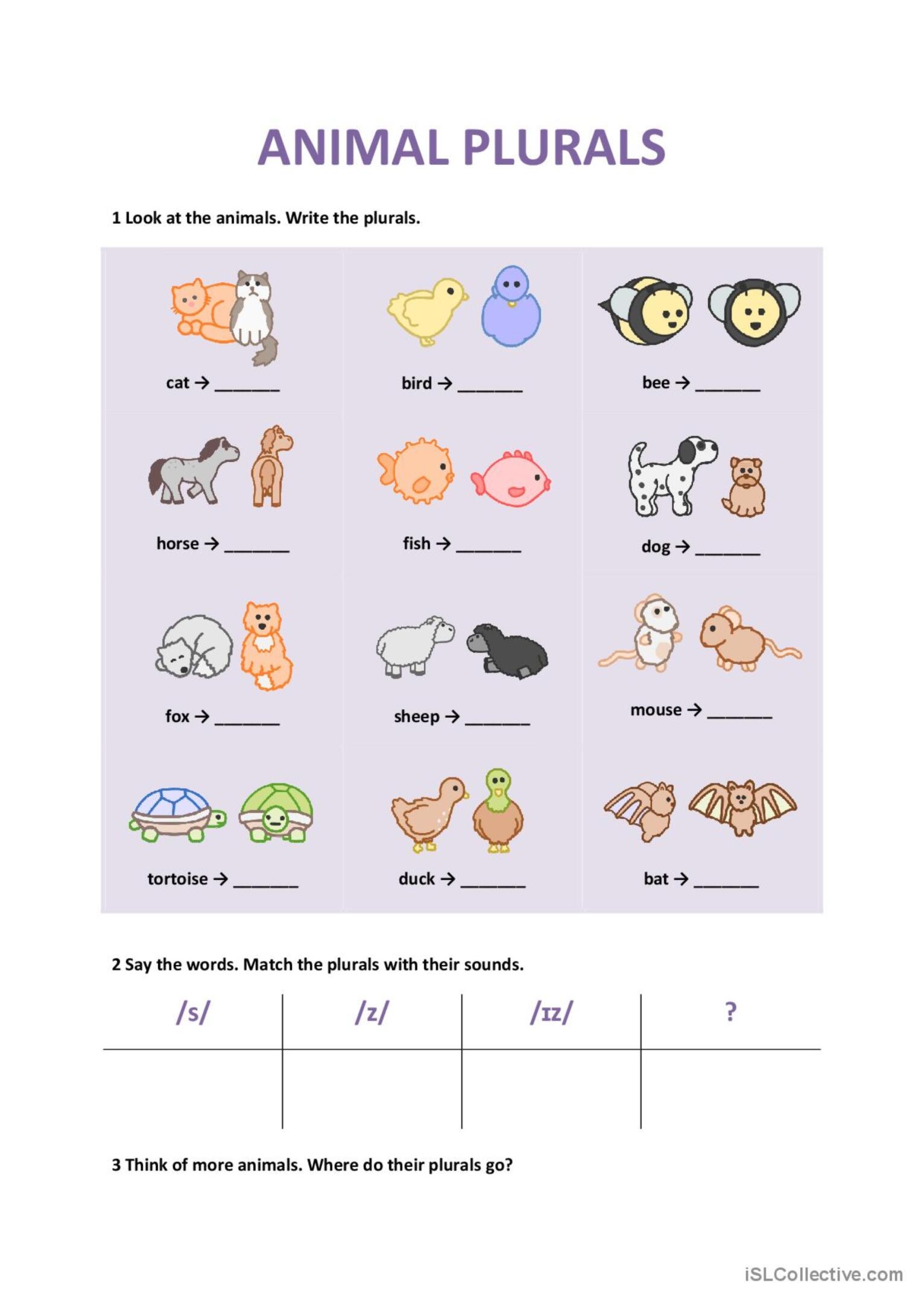 animal plural nouns