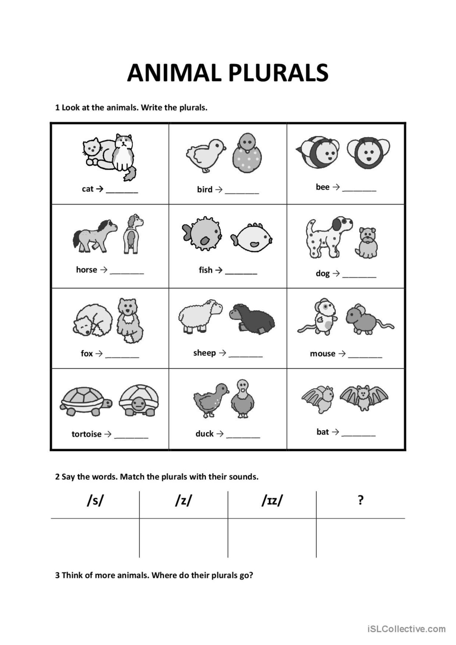 Animal Plurals English ESL Worksheets Pdf Doc