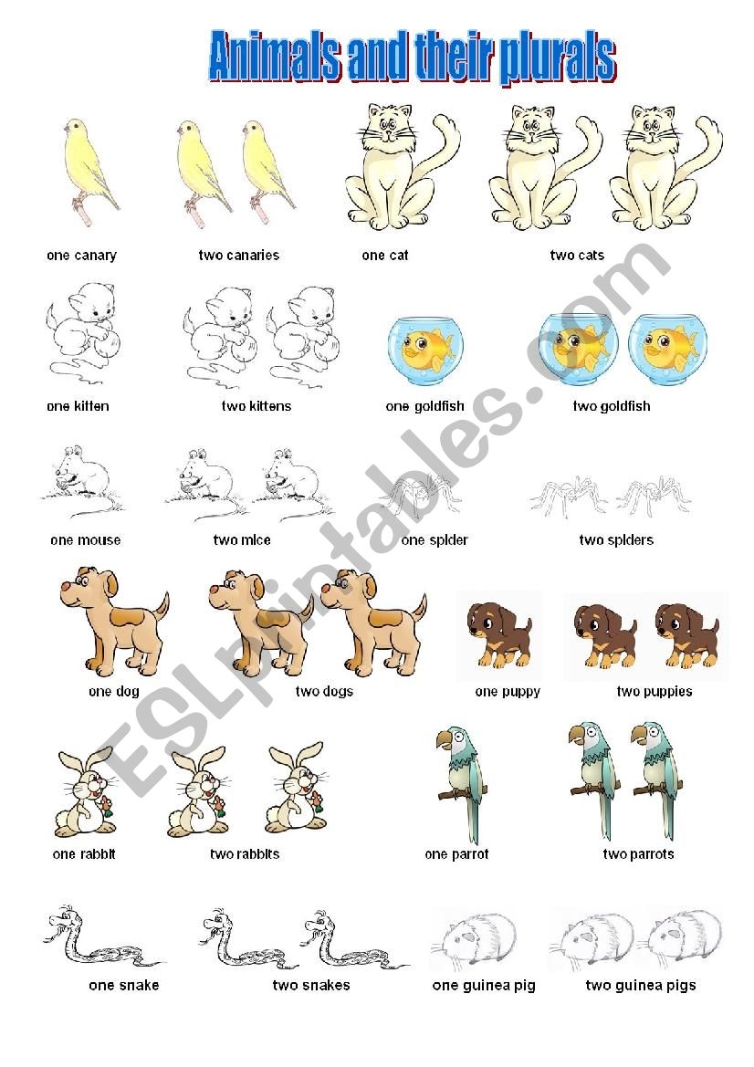 Animals And Their Plurals ESL Worksheet By Armel
