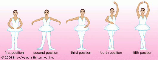 Ballet For The Rest Of Us Basic Ballet Positions