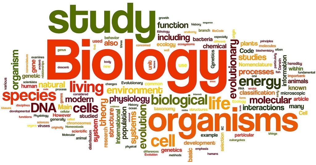 Biology Extended Essay AMAZING WORLD OF SCIENCE WITH MR GREEN