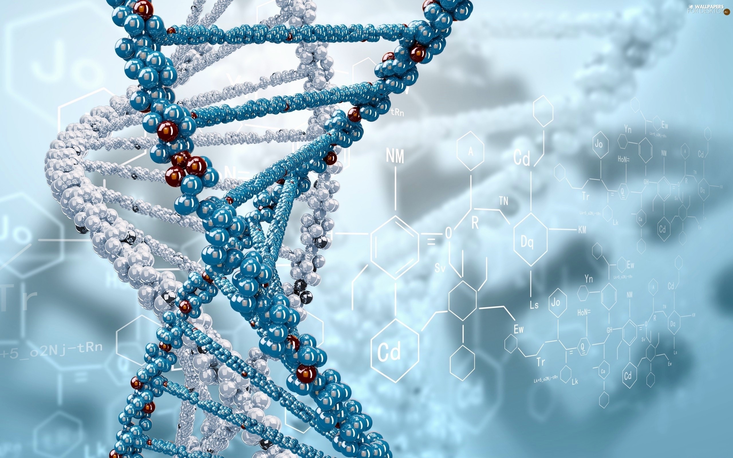 Biology Wallpapers 61 Images 