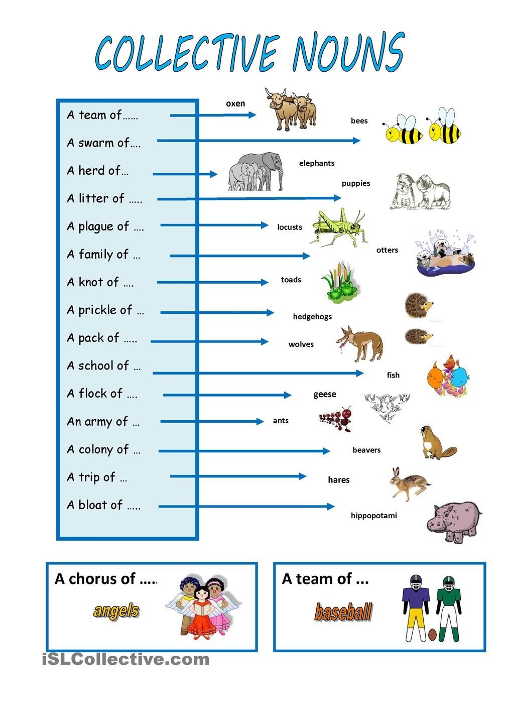 Collective Noun Exercise