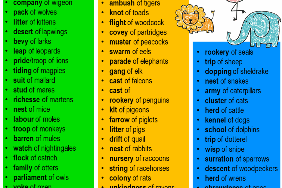 Collective Noun For Cats Collective Nouns List In English English