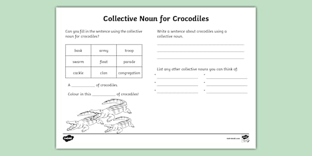 Collective Noun For Crocodiles Worksheet teacher Made 