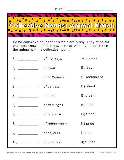 Collective Noun Worksheets Animals Match