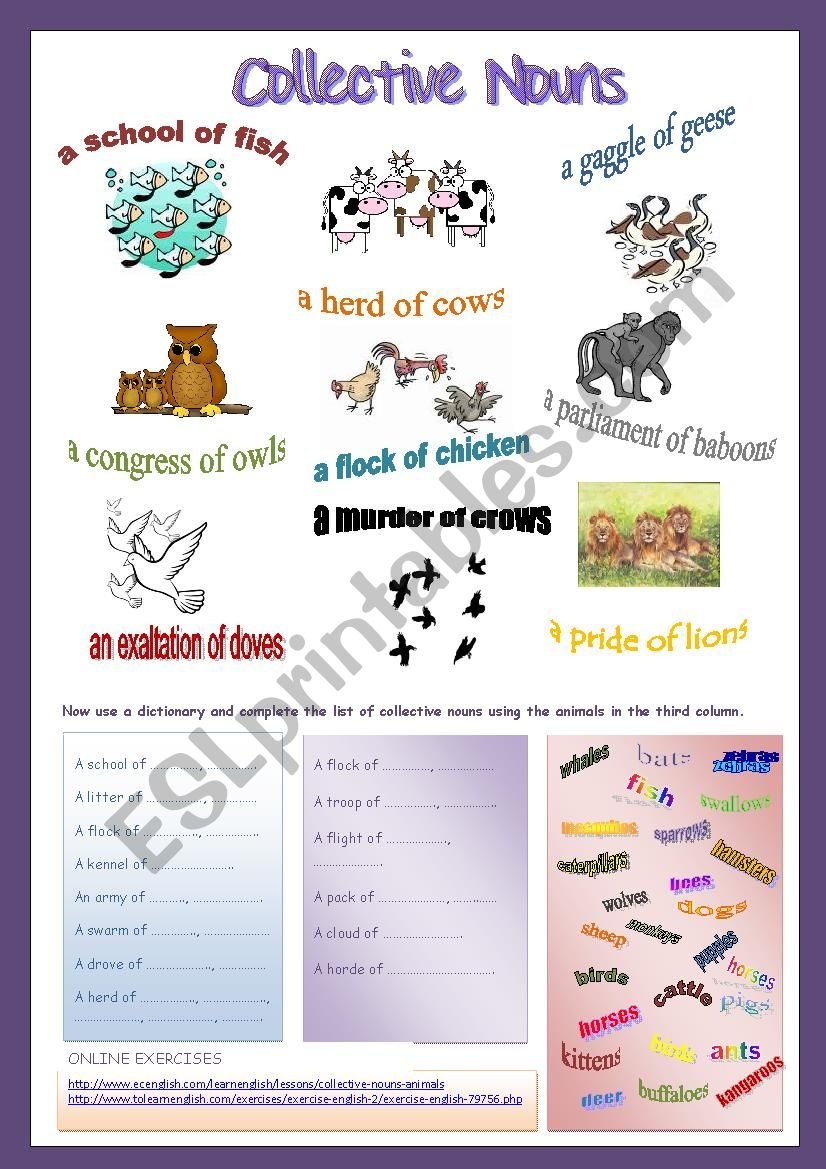 collective nouns animals worksheet