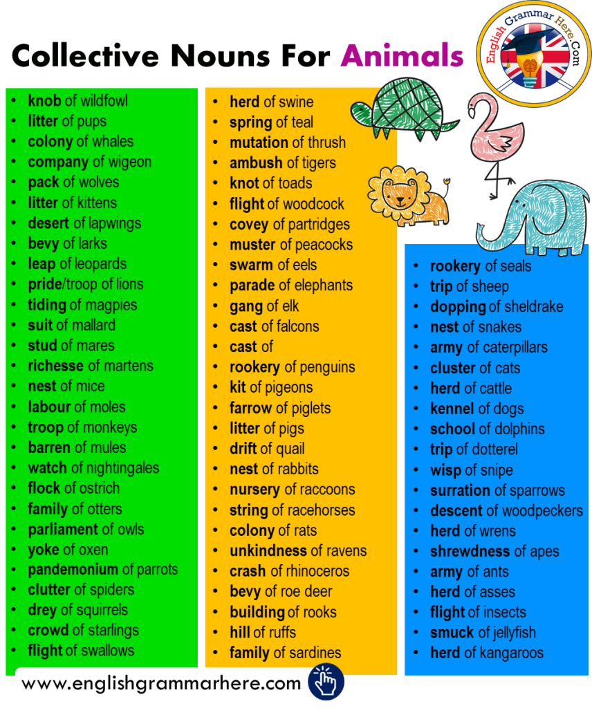 collective nouns examples for animals