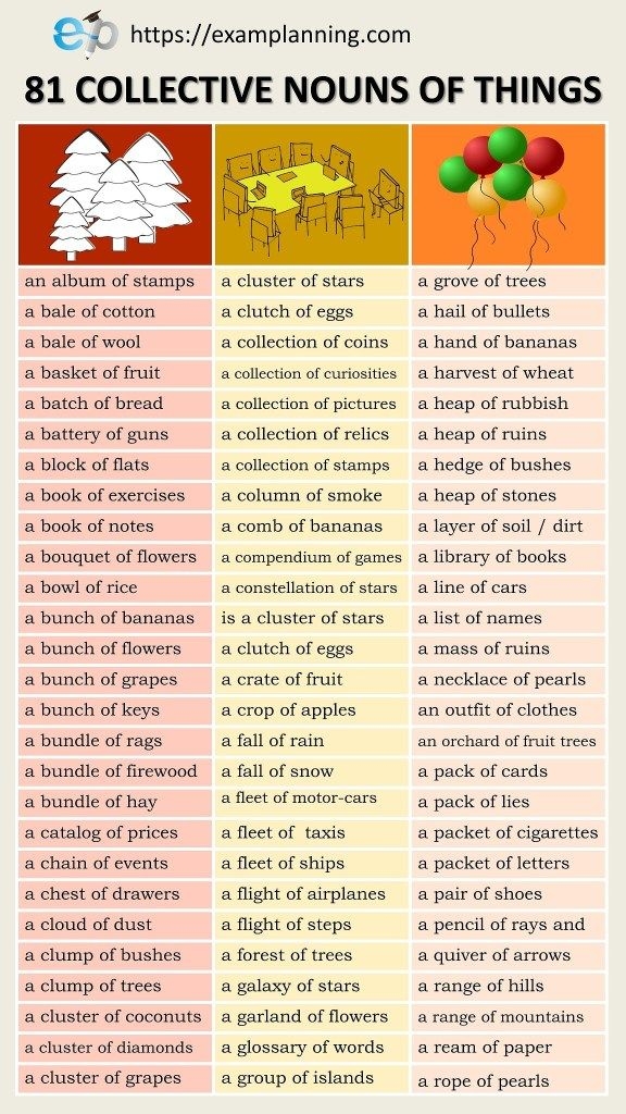 Collective Nouns For Animals Uk