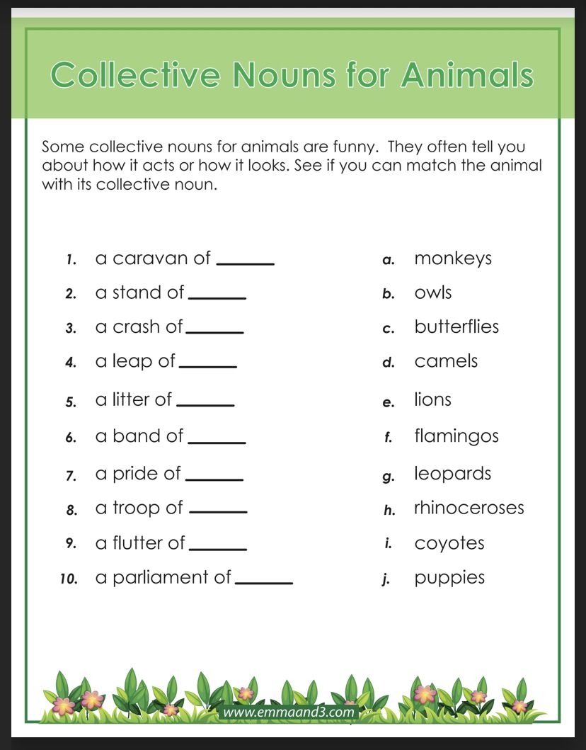 Collective Nouns For Animals Worksheet