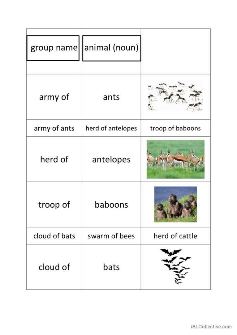 Collective Nouns Of Animals English ESL Worksheets Pdf Doc