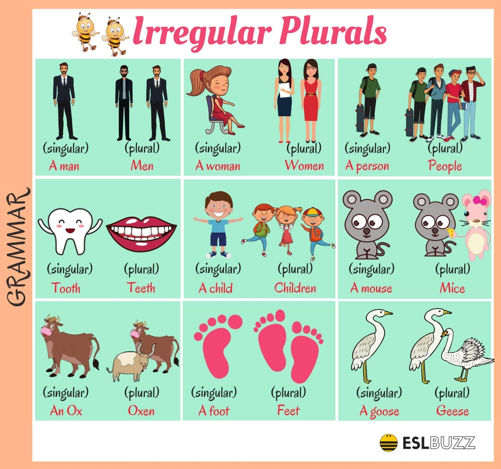 Common Irregular Plural Nouns In English ESLBuzz Learning English