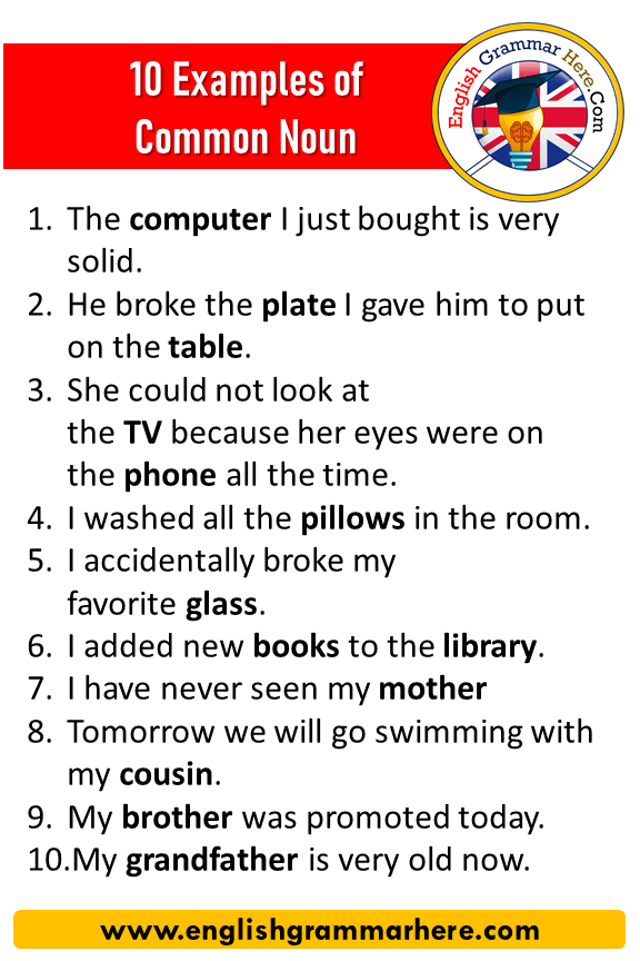 Common Nouns Examples Sentences