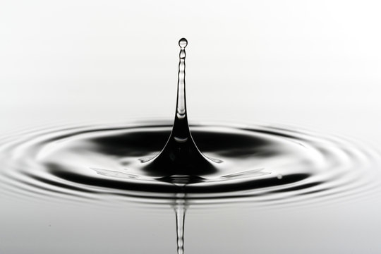 Drop Images Browse 3 795 945 Stock Photos Vectors And Video Adobe 
