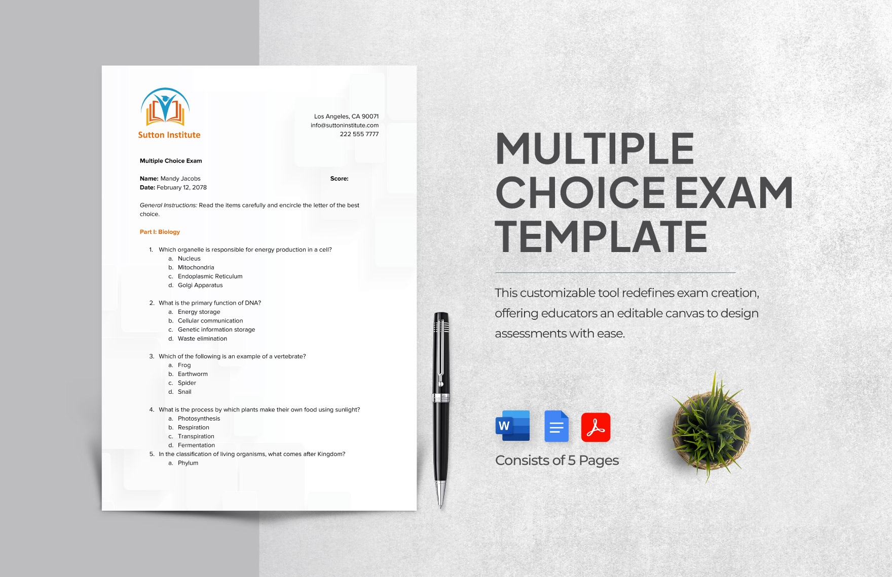 Editable Exam Templates In Word To Download