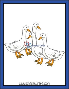 English Unite Collective Noun Geese