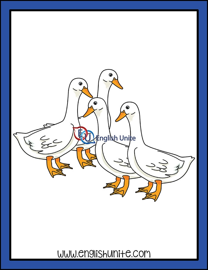 English Unite Collective Noun Geese