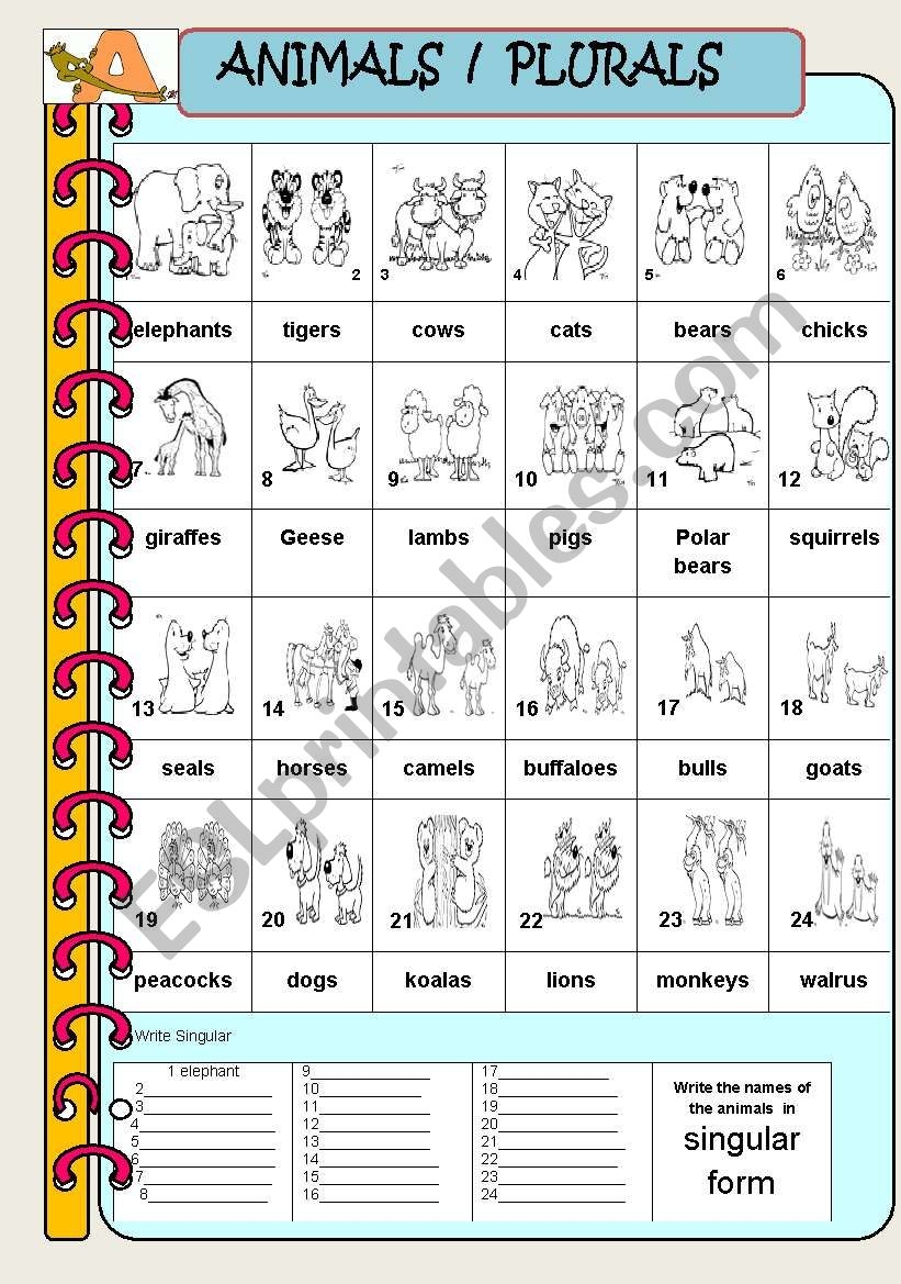 English Worksheets ANIMAL PLURALS