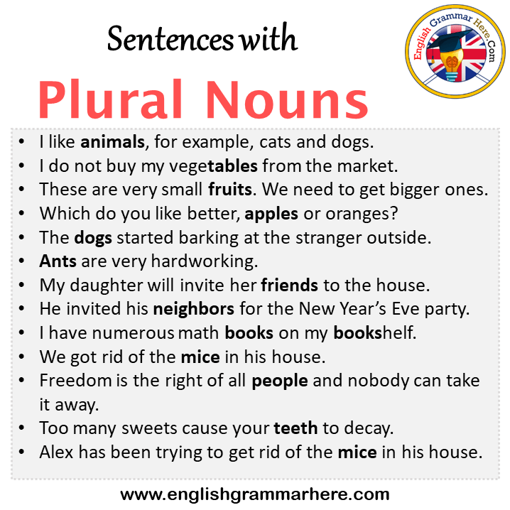 Examples Of Plural Noun Plural Noun Examples Plurals 49 OFF