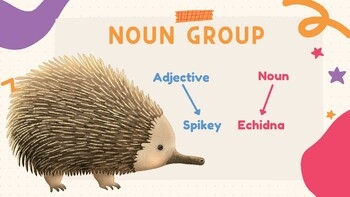 Expanded Noun Groups Noun Groups By Kathlyn Butler TPT