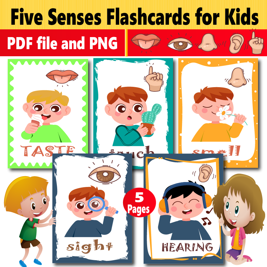 flashcard english vocabulary