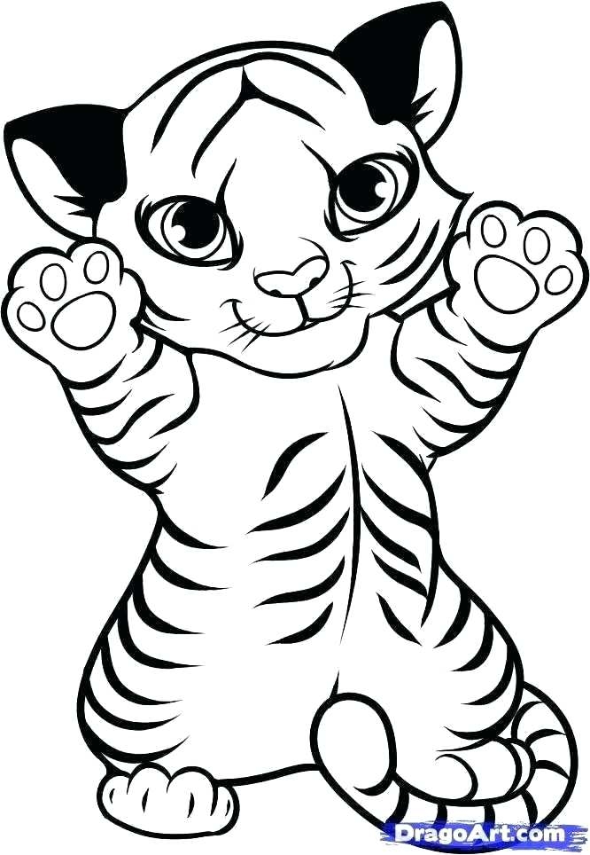Free Full Size Coloring Pages At GetColorings Free Printable 