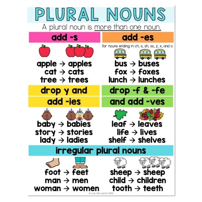 plural common noun examples