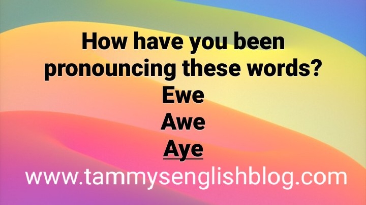 Get The Correct Pronunciation Of These Words Ewe Awe Aye