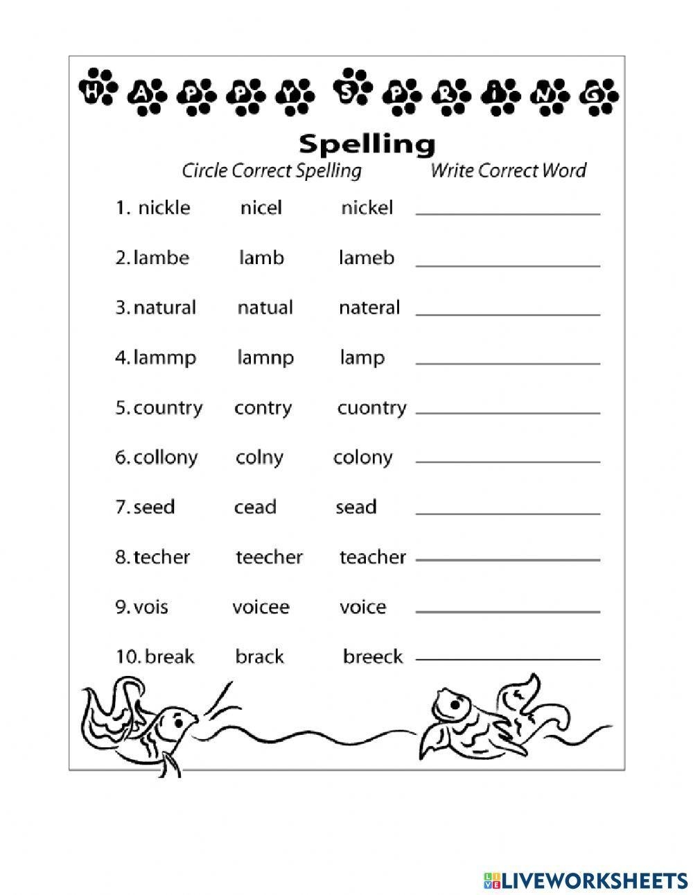 Grade 2 Spelling Words With Themed Spelling Lists Worksheets Library