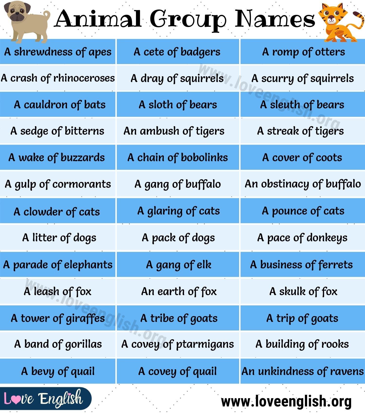 Groups Of Animals 110 Interesting Collective Nouns For Animals Love 