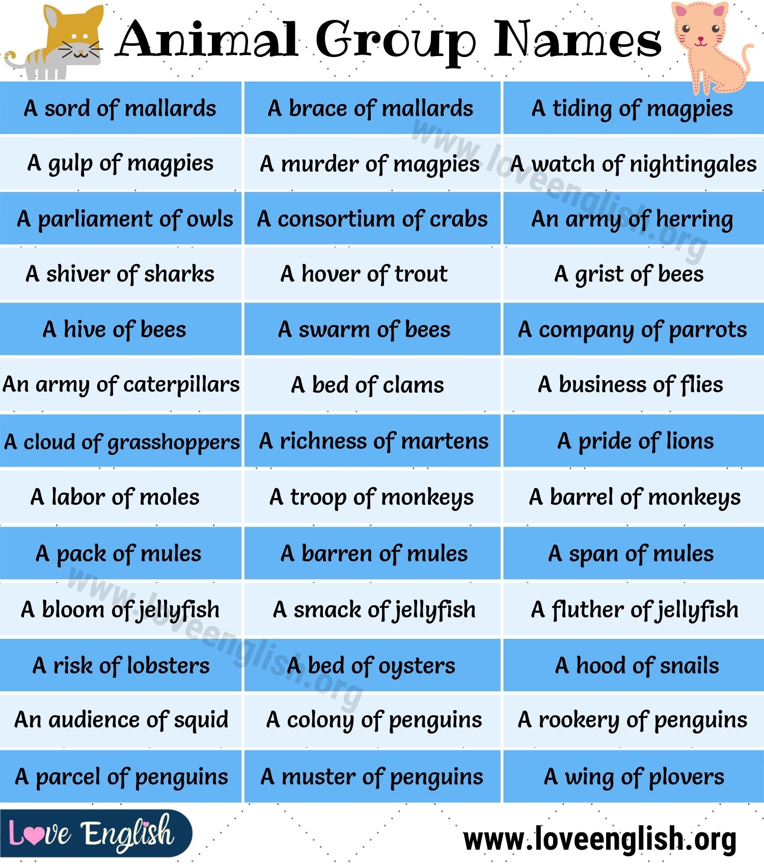 Groups Of Animals 110 Interesting Collective Nouns For Animals Love 