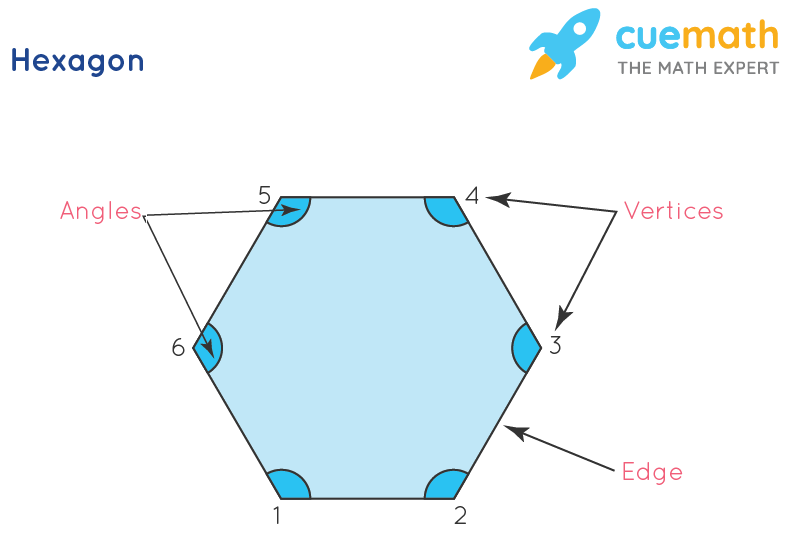 Hexagon Shape Sides Of Hexagon Regular Hexagon Angles Of Hexagon
