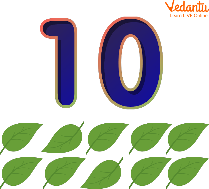 How To Write 10 Learn And Solve Questions